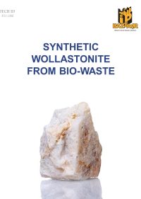 Synthetic Wollastonite from Bio-Waste