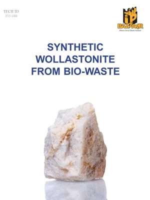 Synthetic Wollastonite from Bio-Waste