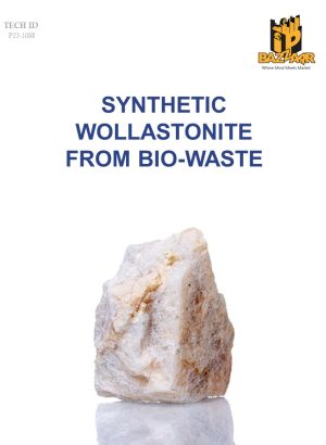 Synthetic Wollastonite from Bio-Waste