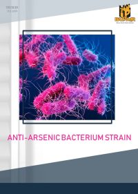 Anti Arsenic Bacterium Strain