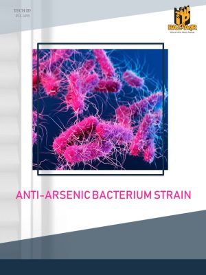 Anti Arsenic Bacterium Strain