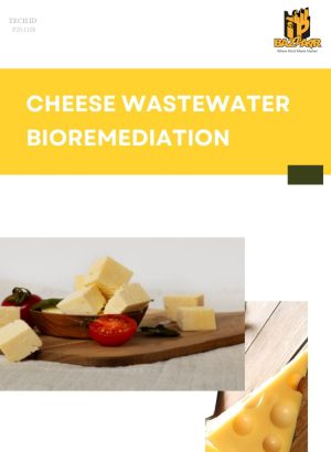 Cheese Wastewater Bioremediation